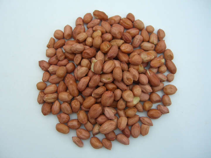 Erdnusskerne-Light Skin